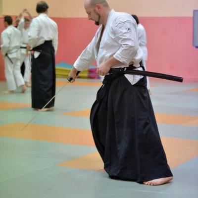 iaido 27 novembre 2015